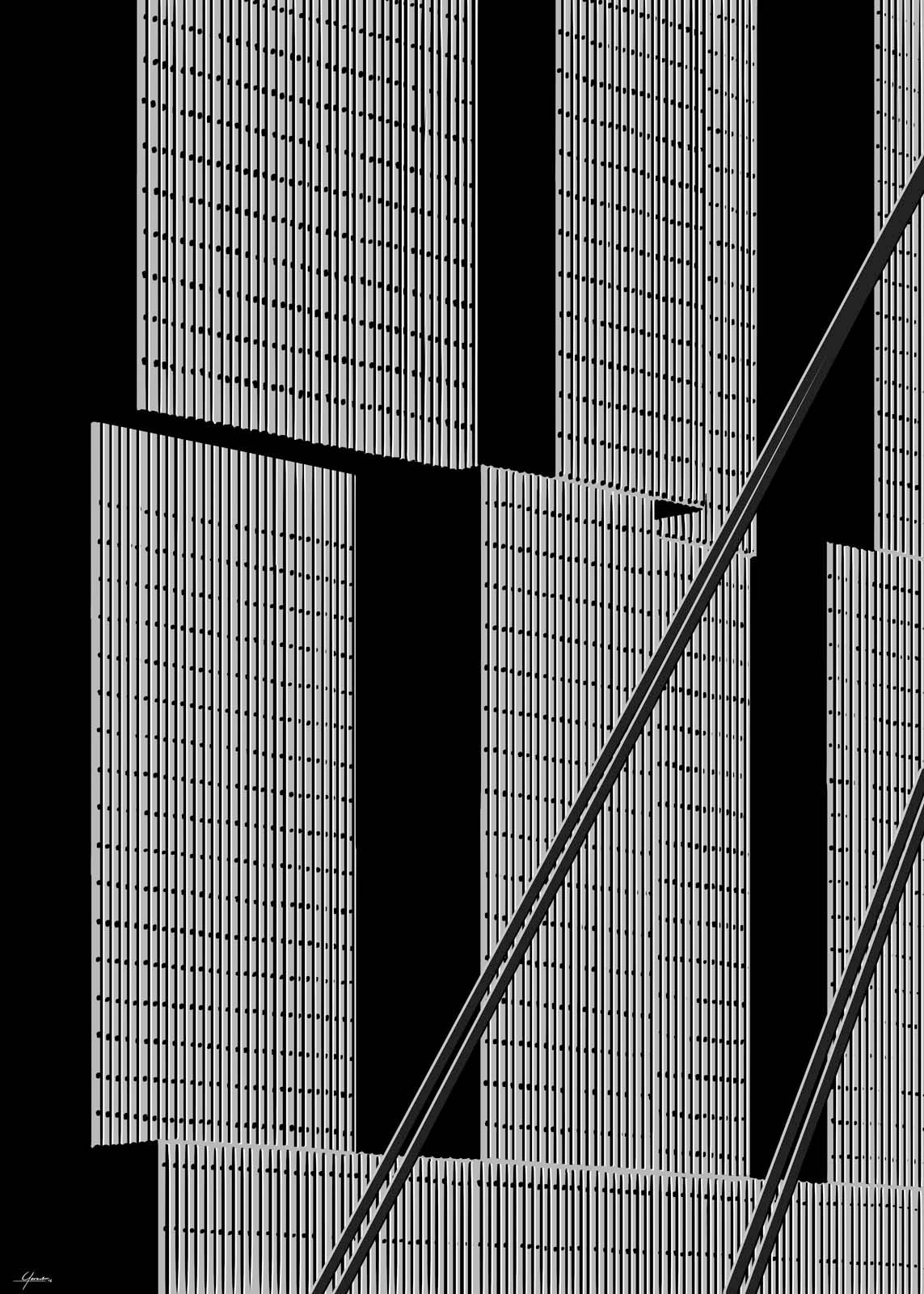 The Rotterdam