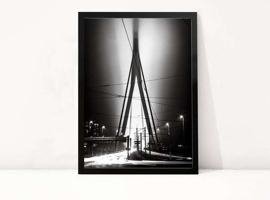 Rotterdam 1 - Art of Rotterdam