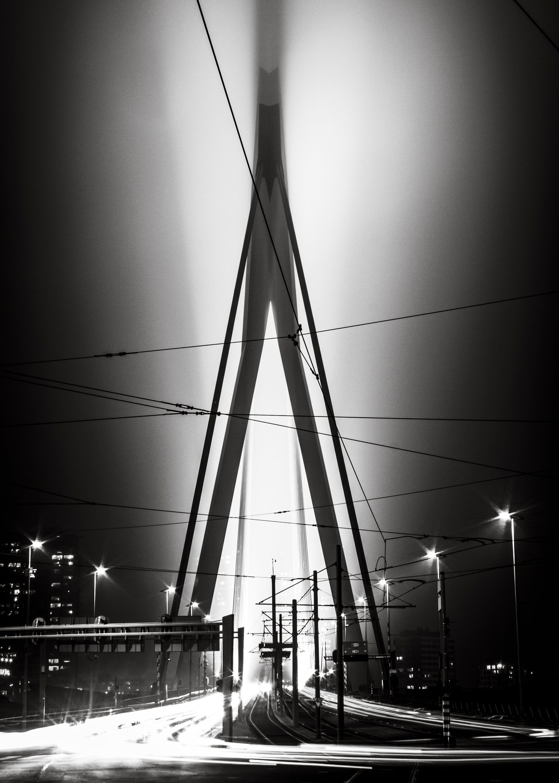 Rotterdam 1 - Art of Rotterdam