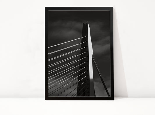 Rotterdam 5 - Art of Rotterdam