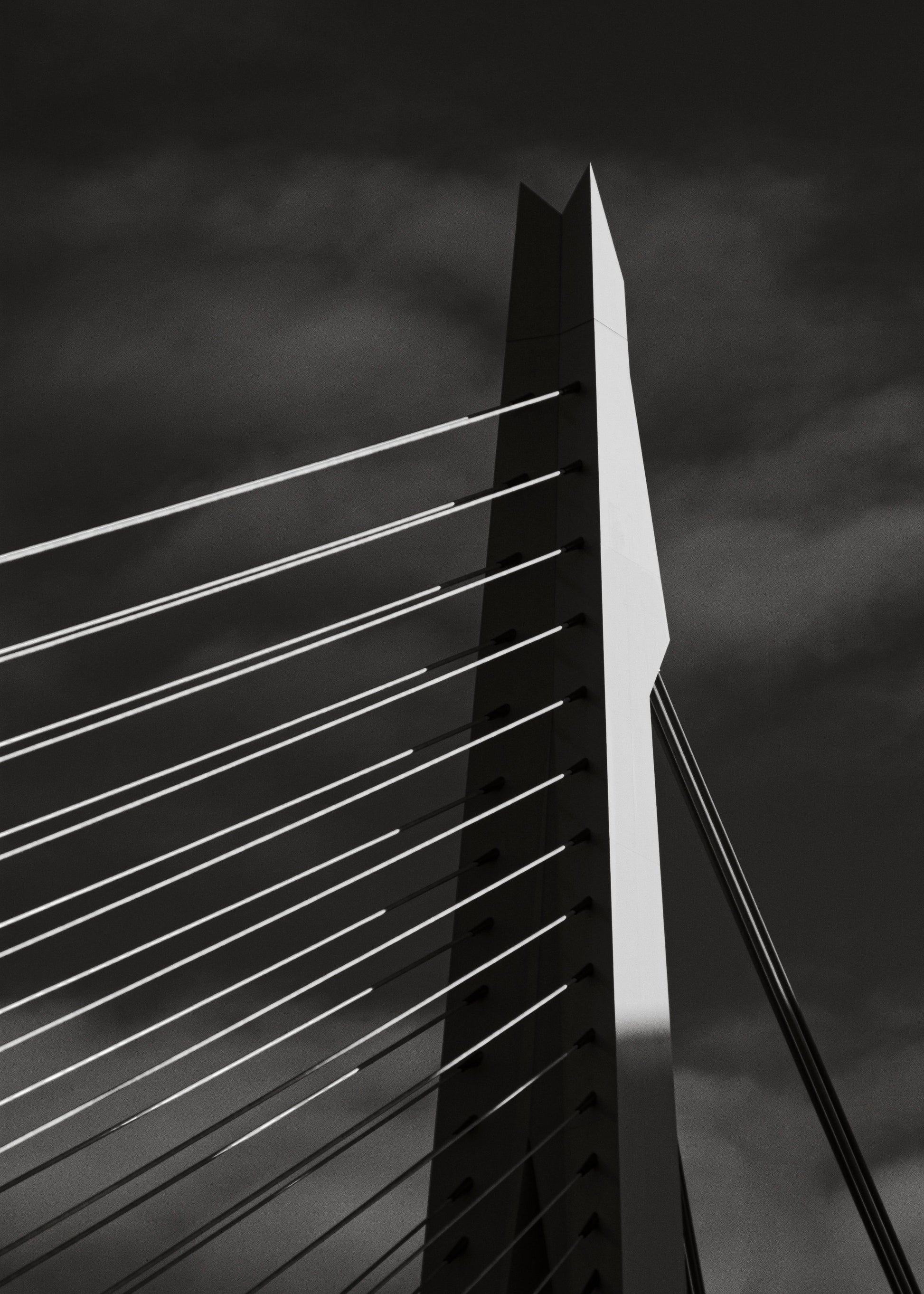 Rotterdam 5 - Art of Rotterdam