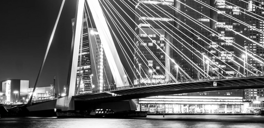 De 5 meest iconische gebouwen van Rotterdam - Art of Rotterdam