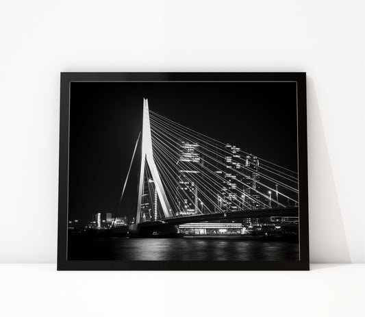 Rotterdam 7