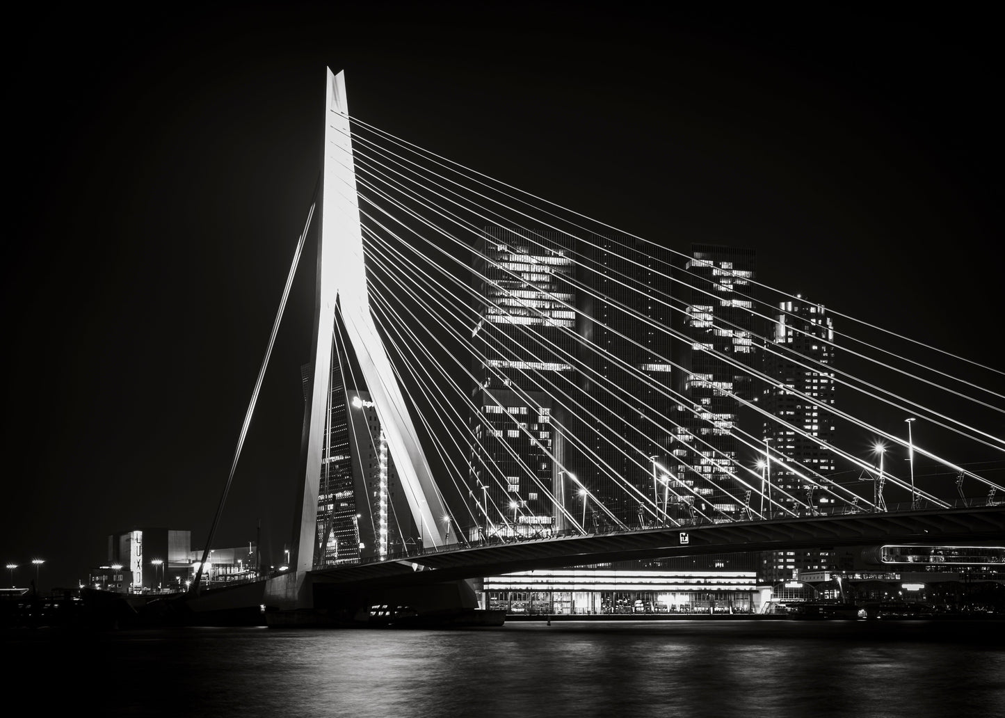 Rotterdam 7