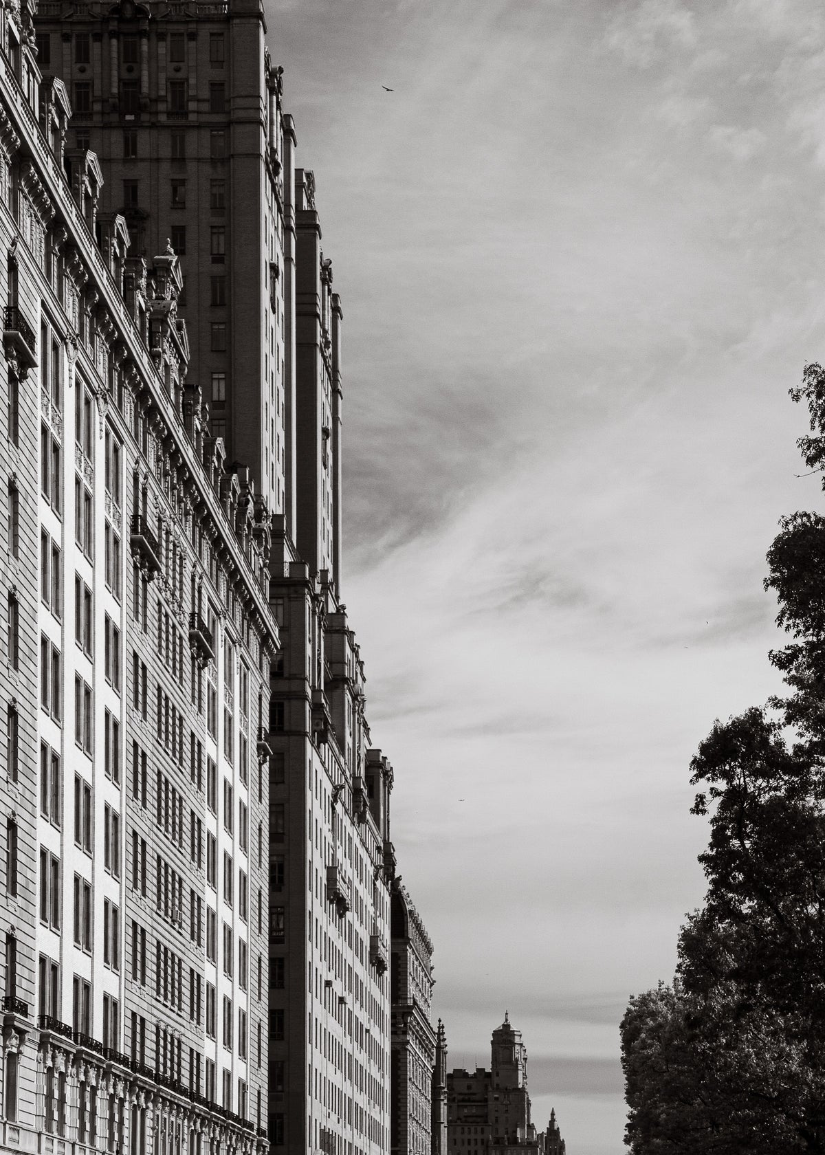New York 19 poster, zwart-wit foto uit New York